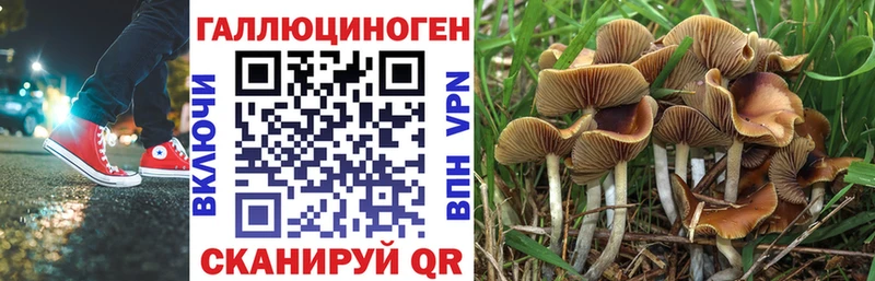 гидра ссылки  Тотьма  Галлюциногенные грибы Psilocybe  цена наркотик 