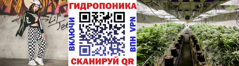 Канабис сатива  Тотьма 